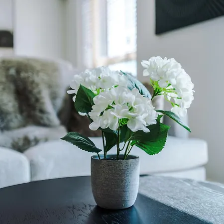 Luxury 2 Bed Penthouse - Balcony - Free Parking *